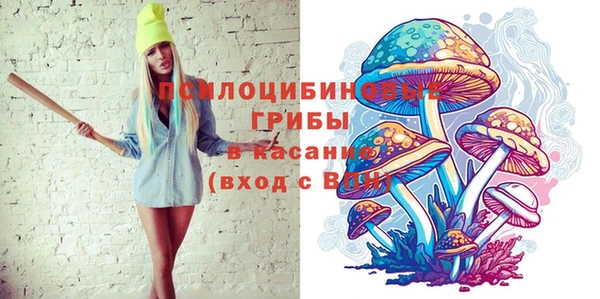 не бодяженный Горно-Алтайск