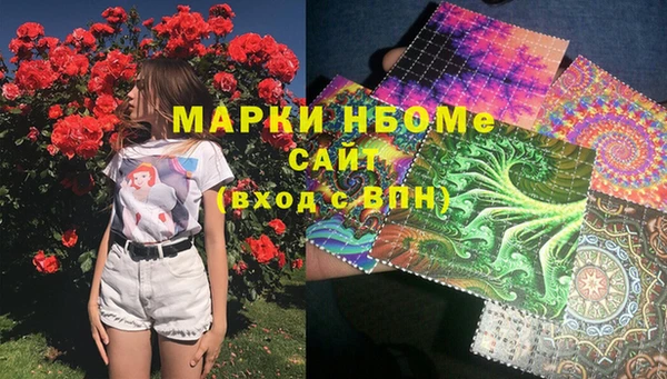 прущие грибы Гусев