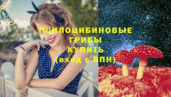 не бодяженный Горно-Алтайск