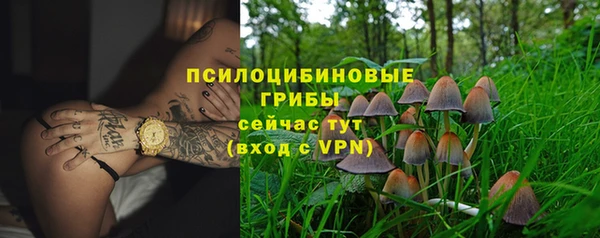 первитин Горняк