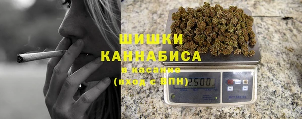 не бодяженный Горно-Алтайск