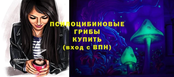 не бодяженный Горно-Алтайск